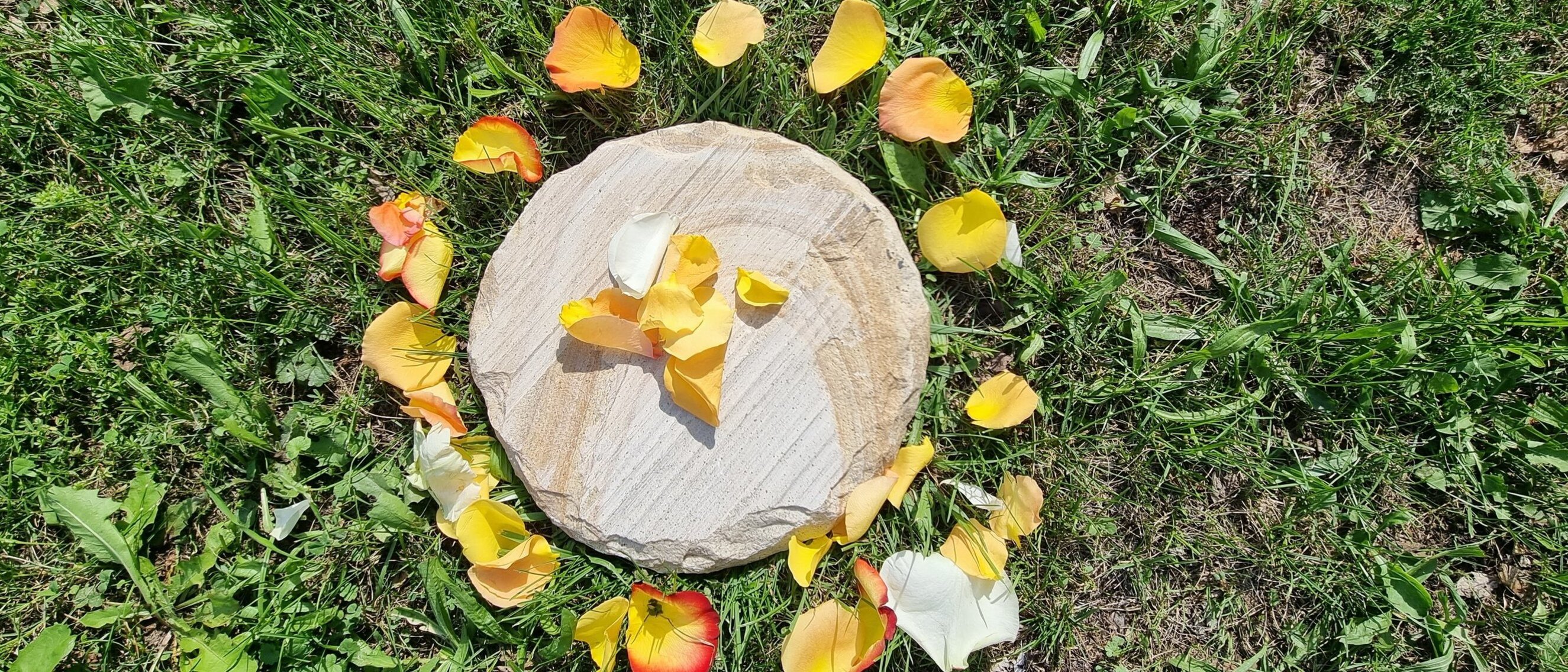 Wakhan, die heilige Null im Medizinrad Wakhan, die heilige Null im Medizinrad, mit gelben Rosenblättern geschmückt